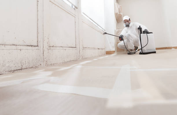 24/7 Emergency Mold Inspection experts in Wellington, FL
